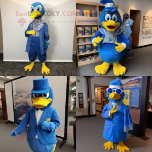 Blue Hens mascot costume character dressed with a Cover-up and Pocket squares