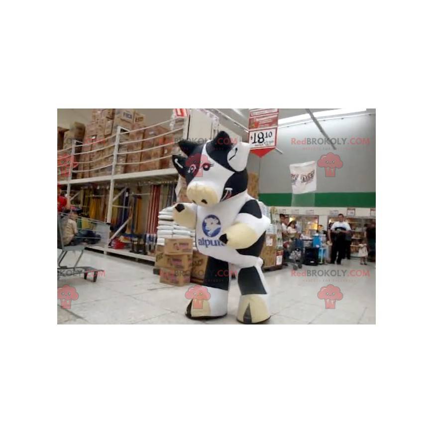 Giant black and white cow mascot - Redbrokoly.com