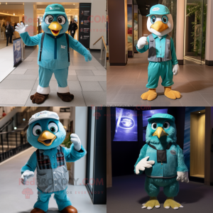 Teal Falcon mascotte...