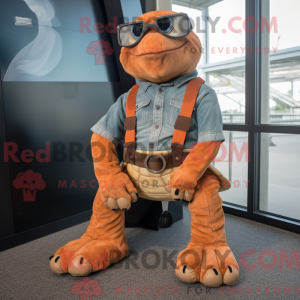 Rostrote Meeresschildkröte...