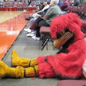 Mascotte de gros oiseau rouge et jaune à l'air méchant -