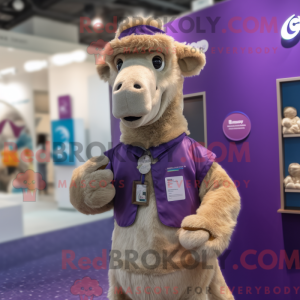 Costume mascotte de chameau...