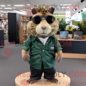 Olive Meerschweinchen...