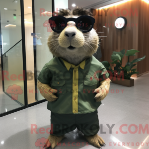 Olive Meerschweinchen...