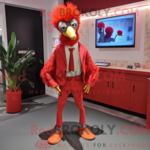 Rød struts maskot drak...