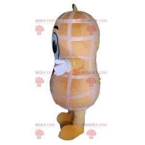 Giant peanut mascot. Peanut mascot - Redbrokoly.com
