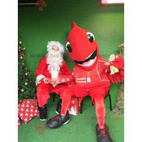 Mascotte grande uccello rosso - Redbrokoly.com