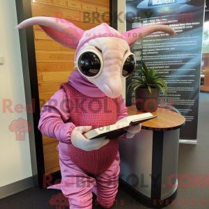 Costume mascotte de tatou...