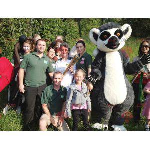 Mascot gray black and white lemur very sweet and cute -