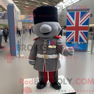 Grijze Britse Royal Guard...