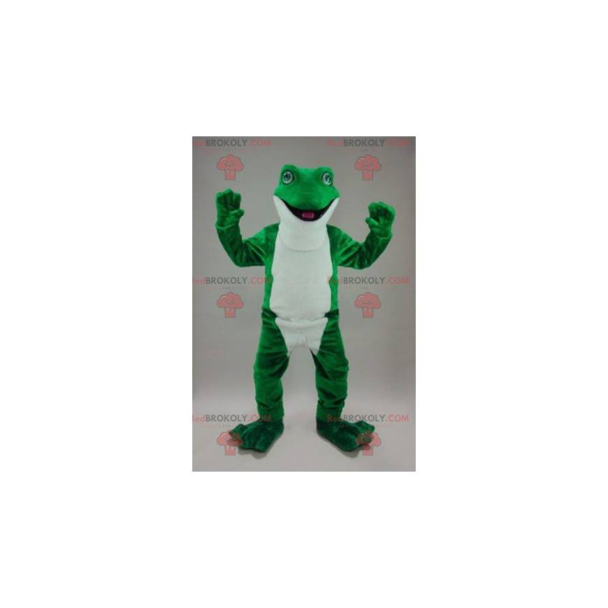 Bardzo realistyczna zielona i biała maskotka żaba -