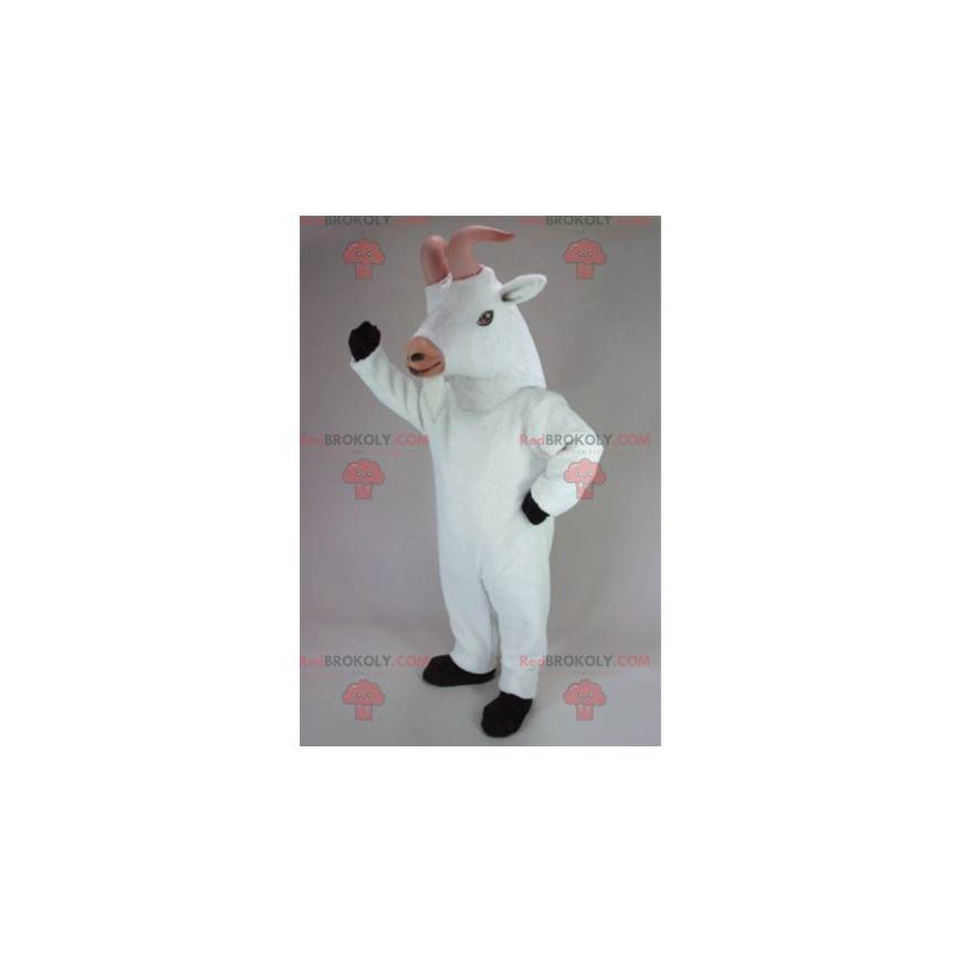 Geit geit mascotte geit witte geit - Redbrokoly.com