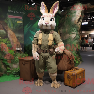 Rust Wild Rabbit...