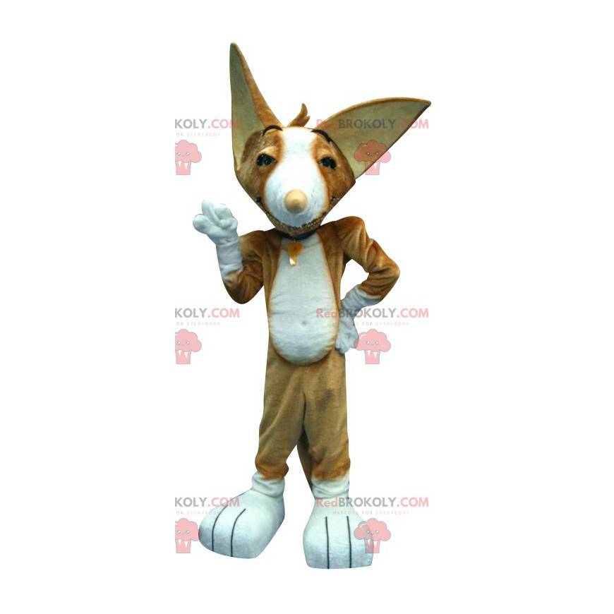 Maskot hnědá kočka s špičatými ušima - Redbrokoly.com Maskot hnědá kočka s špičatými ušima - Redbrokoly.com