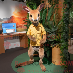 Kænguru maskot kostume...