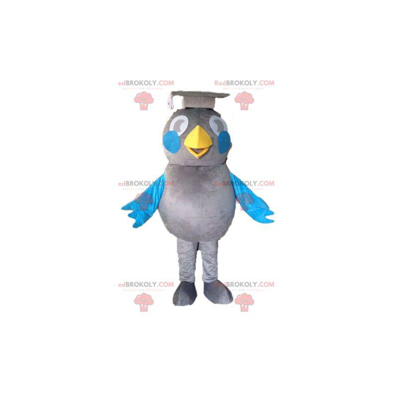 Graues und blaues Vogelmaskottchen. Absolvent Maskottchen -