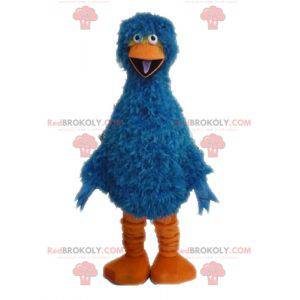 Hairy and funny blue and orange bird mascot - Redbrokoly.com