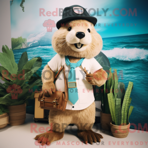 Costume mascotte de castor...