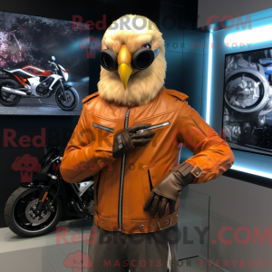 Peach Falcon...