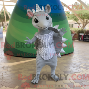 Silver Armadillo mascot...
