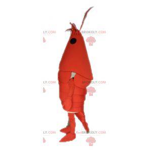 Gigantisk hummermaskot. Kreps maskot - Redbrokoly.com