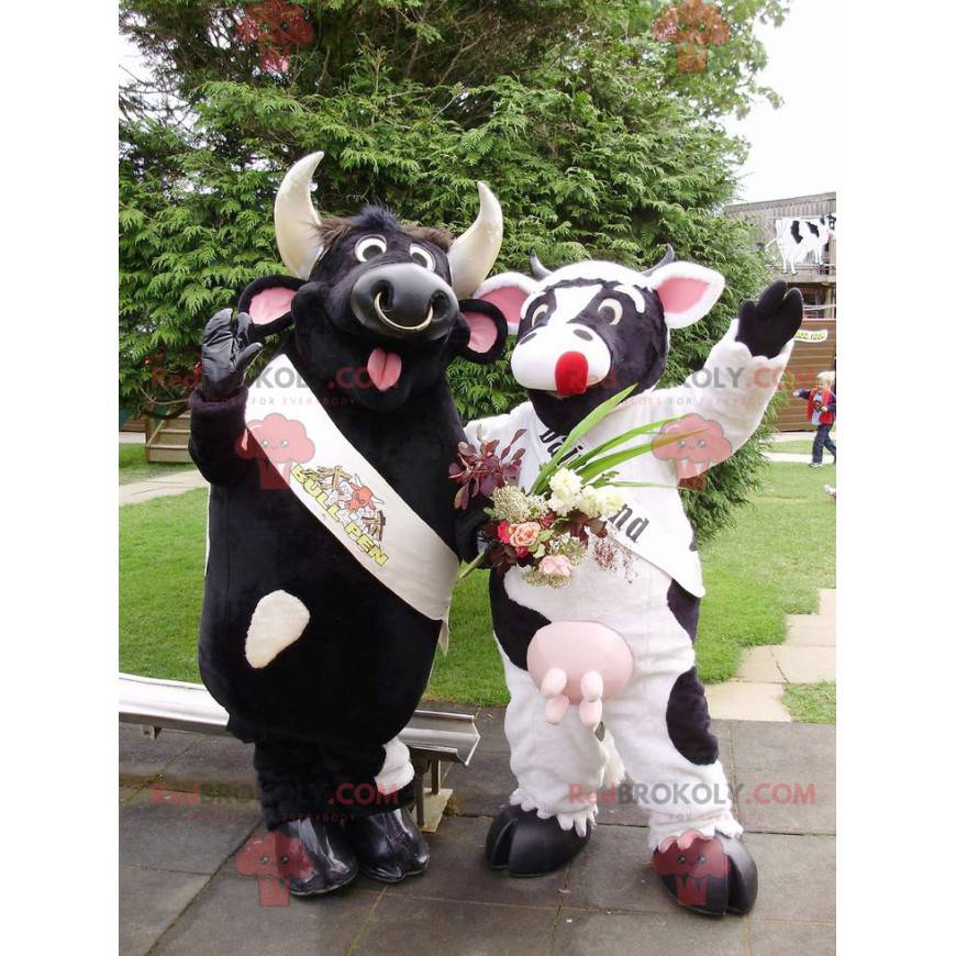 2 mascots a black bull and a black and white cow -