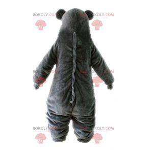 Baloo famous bear mascot from the Jungle Book - Redbrokoly.com