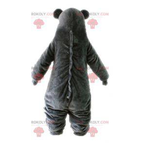 Famoso mascote do urso Baloo do Jungle Book - Redbrokoly.com