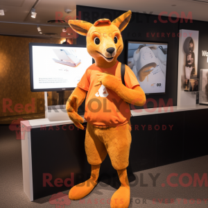 Orange kænguru maskot...