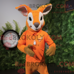 Mascotte de kangourou...