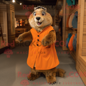 Costume de mascotte de...