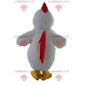 Mascotte de poule blanche géante. Mascotte de coq blanc -