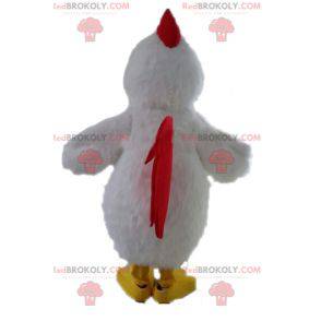 Gigantisk hvit høne maskot. Hvit hane maskot - Redbrokoly.com