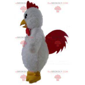 Giant white hen mascot. White rooster mascot - Redbrokoly.com