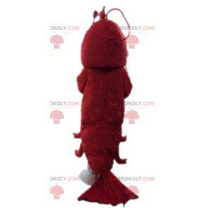 Giant lobster mascot. Crayfish mascot - Redbrokoly.com