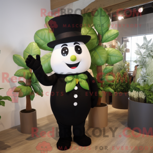 Olive Beanstalk...