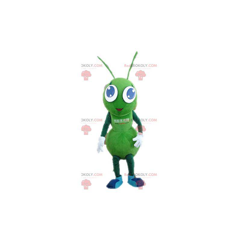 Maskot obří zelené mravence. Zelený hmyz maskot - Redbrokoly.com