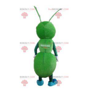 Mascote gigante das formigas verdes. Mascote inseto verde -
