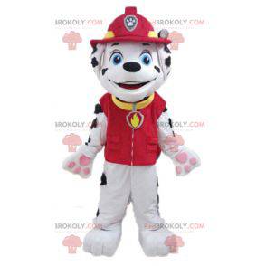 Dalmatische hond mascotte gekleed in uniform brandweerman -