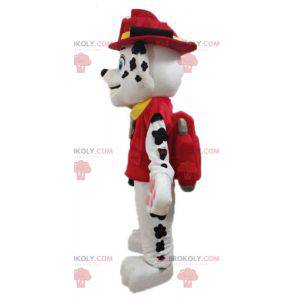 Dalmatin pes maskot oblečený v hasičské uniformě -