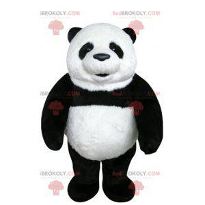 Very beautiful and realistic black and white panda mascot -