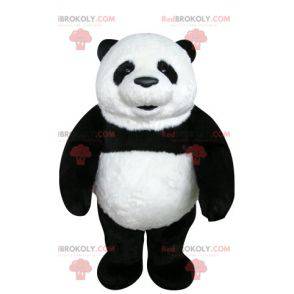 Very beautiful and realistic black and white panda mascot -