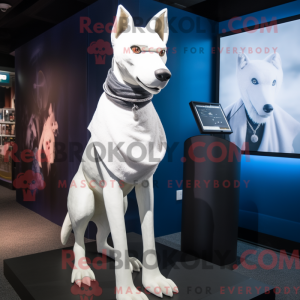 Costume mascotte de Dingo...