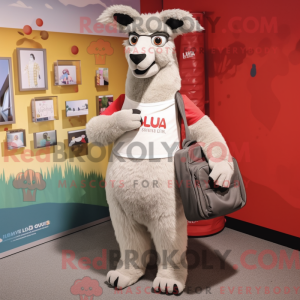 Grijze lama mascotte...