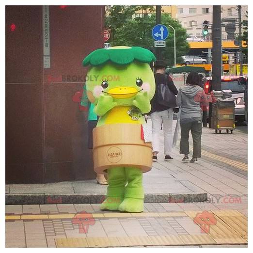 Mascotte d'oiseau vert de canard de pot de fleurs -