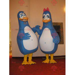 2 mascottes de pingouins bleus et blancs. Mascottes de couple -