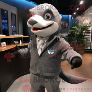 Gray Shark maskot kostume...