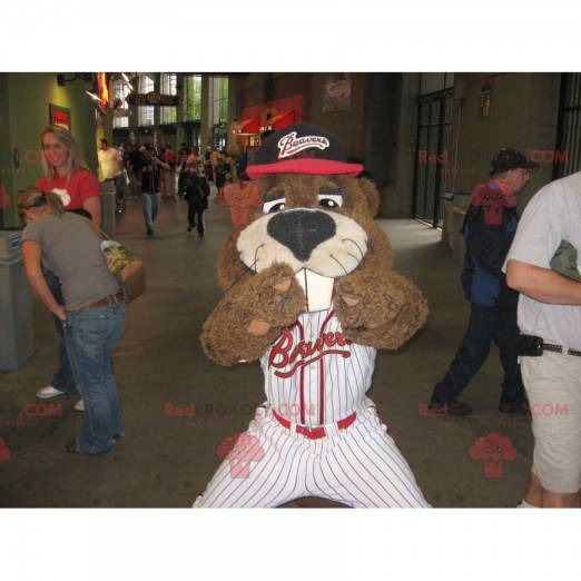 Mascot big brown rodent beaver in baseball outfit -