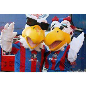 2 mascottes d'oiseaux de mouettes en tenue de sport -