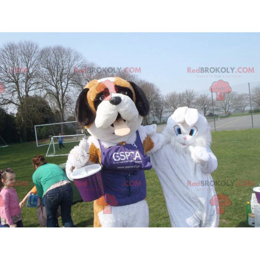 2 mascots a tricolor Saint-Bernard and a white rabbit -